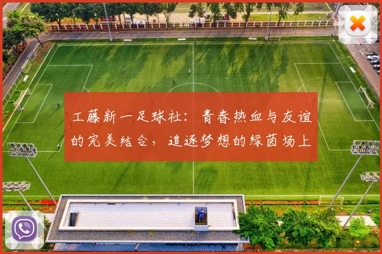工藤新一足球社：青春热血与友谊的完美结合，追逐梦想的绿茵场上拼搏奋进